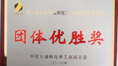 建安公司職工在第三屆全國石油和化學工業職業技能大賽中取得優異成績